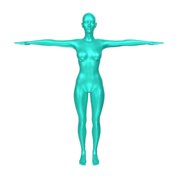 Female Basemesh isolated on transparent png