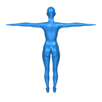 Female Basemesh isolated on transparent png