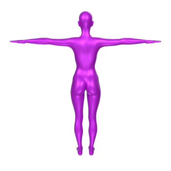 Female Basemesh isolated on transparent png
