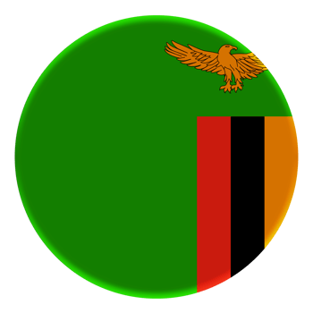 3D Flag of Zambia on a avatar circle. png