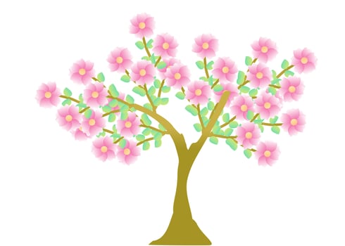 Cherry blossom branch with sakura flower. Sakura on white background. Cherry blossom flower blooming vector. Pink sakura flower background. vector