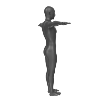 body anatomy isolated on background png