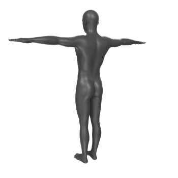 body anatomy isolated on background png