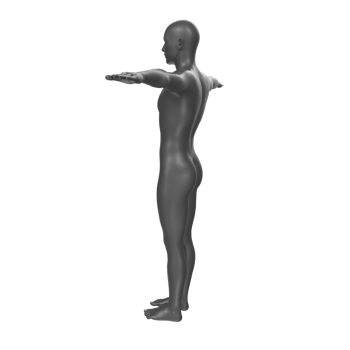 body anatomy isolated on background png