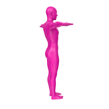 body anatomy isolated on background png