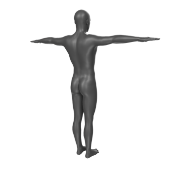 body anatomy isolated on background png