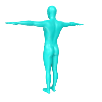 body anatomy isolated on background png