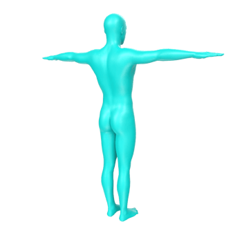 body anatomy isolated on background png