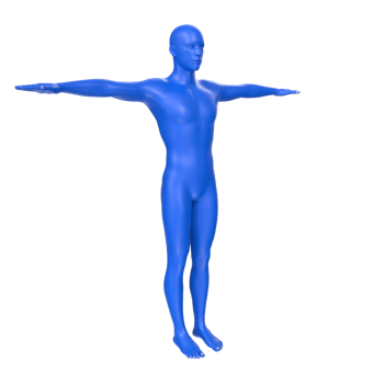 body anatomy isolated on background png