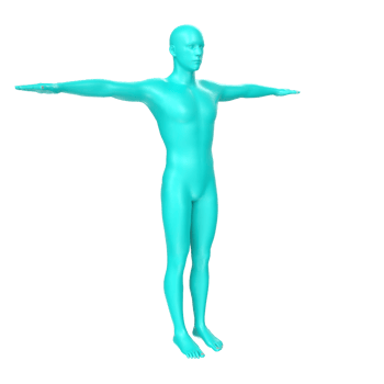 body anatomy isolated on background png