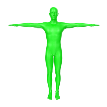 body anatomy isolated on background png