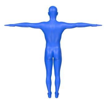 body anatomy isolated on background png