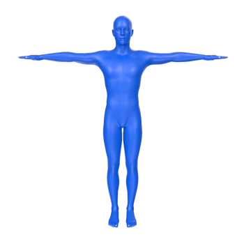 body anatomy isolated on background png