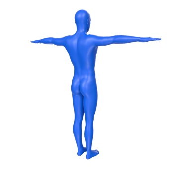 body anatomy isolated on background png