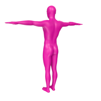 body anatomy isolated on background png