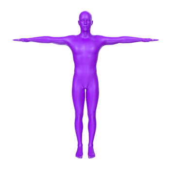 body anatomy isolated on background png