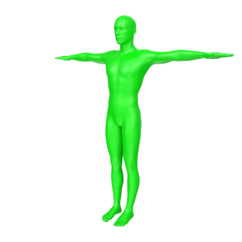 body anatomy isolated on background png
