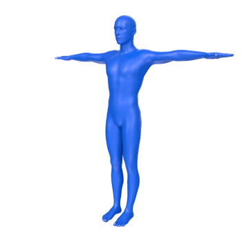 body anatomy isolated on background png