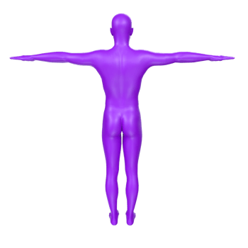 body anatomy isolated on background png