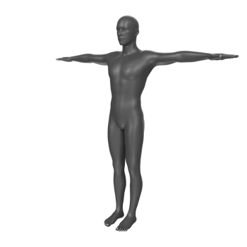 body anatomy isolated on background png