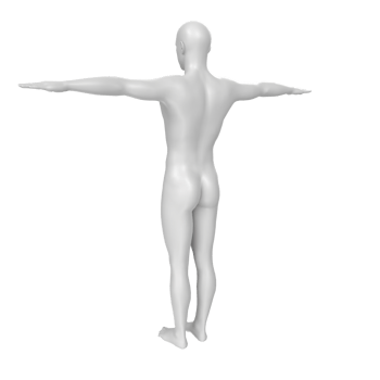 body anatomy isolated on background png
