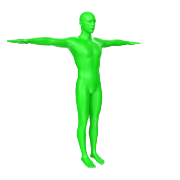 body anatomy isolated on background png