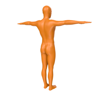 body anatomy isolated on background png