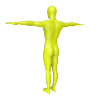 body anatomy isolated on background png