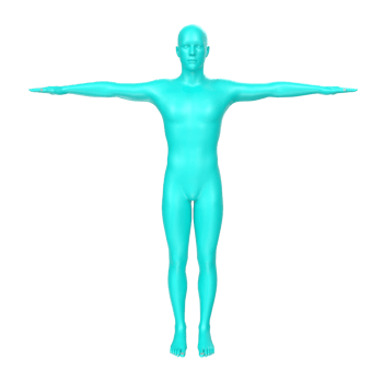 body anatomy isolated on background png