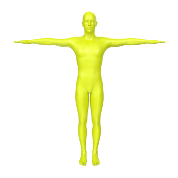 body anatomy isolated on background png