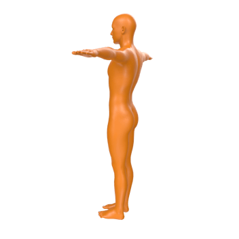 body anatomy isolated on background png