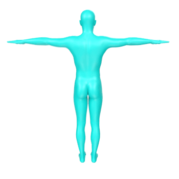 body anatomy isolated on background png