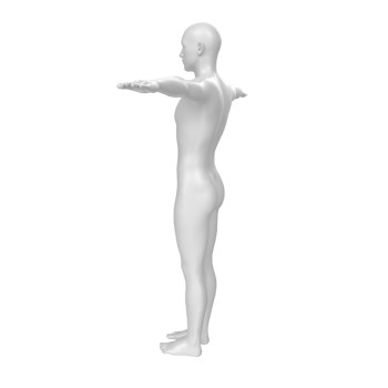 body anatomy isolated on background png