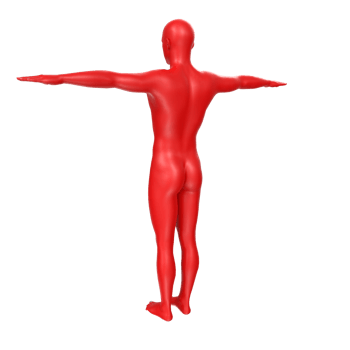 body anatomy isolated on background png