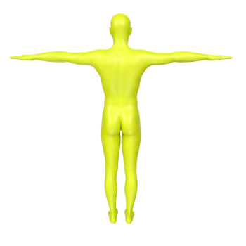 body anatomy isolated on background png
