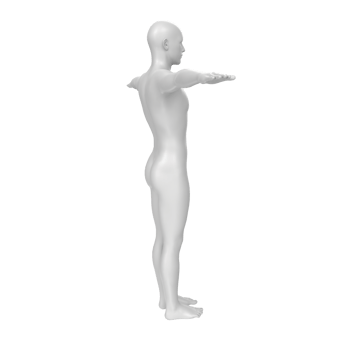 body anatomy isolated on background png