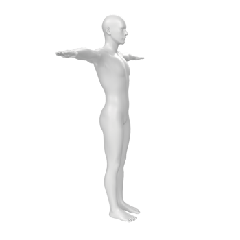 body anatomy isolated on background png