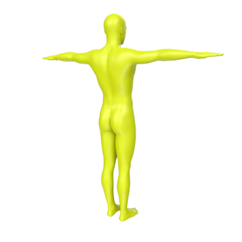 body anatomy isolated on background png