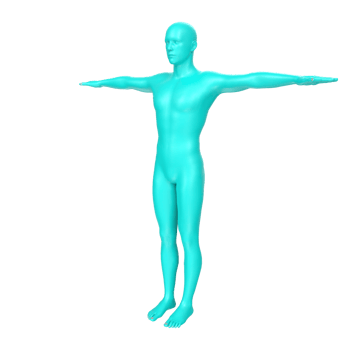 body anatomy isolated on background png