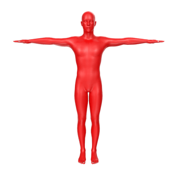 body anatomy isolated on background png
