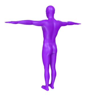 body anatomy isolated on background png