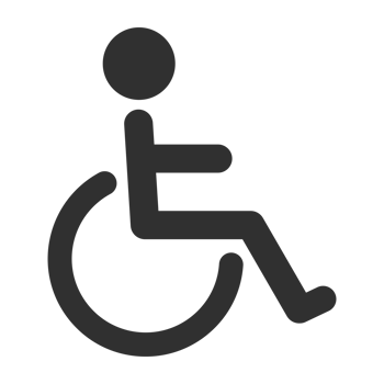 Disabled line icon. png