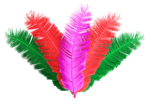 CARNIVAL COLORFUL FEATHERS 3D png