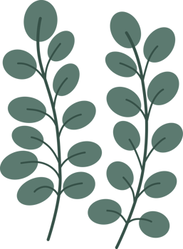 leaf element, minimal style. png