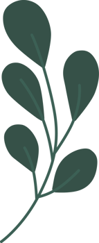 Green leaves, minimal style. png