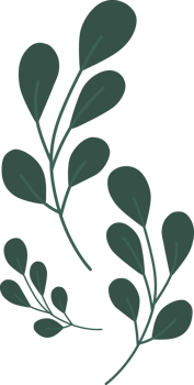 Green leaves, minimal style. png