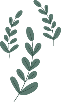 leaf element, minimal style. png