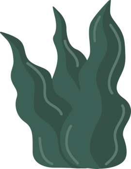 Hand drawn leaf design elements. png