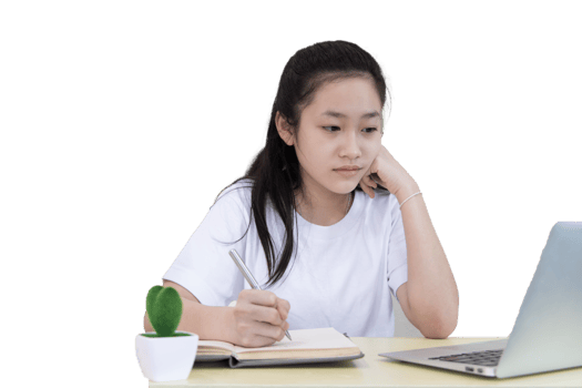 Study online via laptop png