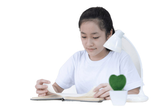Study online via laptop png